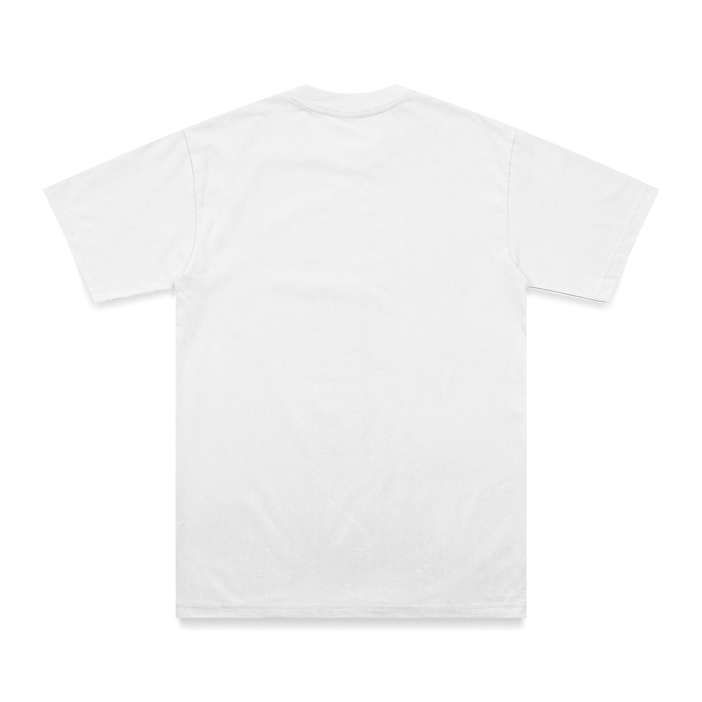 TMT Power of Truth t-shirt